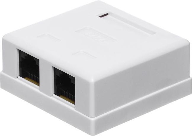 Netrack complete surface-mounted outlet 2xRJ45 8p8c UTP Cat6 LSA