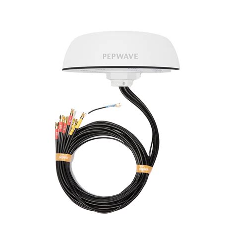 Peplink Mobility 42G, 4*LTE, 2*WiFi, 1*GPS, IP68, SMA, white, 2m