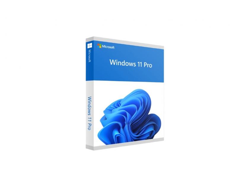 Microsoft Windows 11 Pro 64-bit English DSP DVD