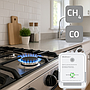 Qoltec certified wireless gas leak (CH4) & carbon monoxide (CO) detector, sensor service life 5 years, 85dB alarm, LED