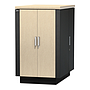 NetShelter CX 24U secure soundproof server room in a box enclosure international